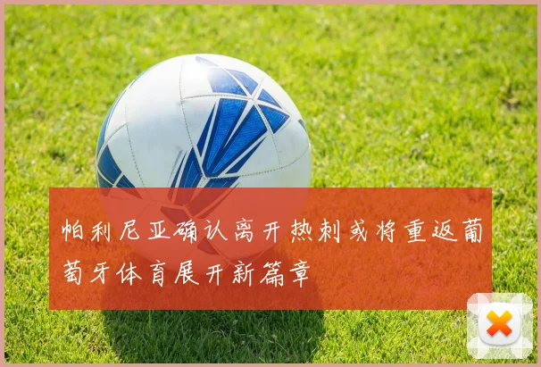 帕利尼亚确认离开热刺或将重返葡萄牙体育展开新篇章